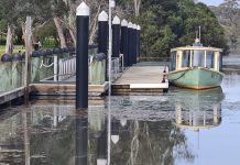 Major flood warning for the Thomson River