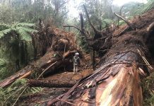 Gippsland begins the rough road to recovery