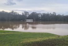 COVID restrictions, now flooding, hit local sport