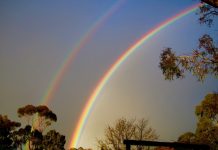 Rain expected Friday, but no severe weather