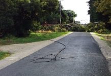 Storms lashing Gippsland