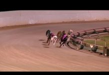 Ferdinand Boy wins inaugural Horizon