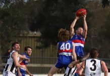 NGFNL footy wrap up: City edges out Glengarry
