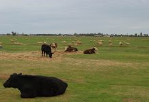 New kids safety campaign targets farming