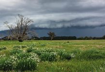 Winter has officially arrived: flooding and weather warnings expected