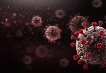 Two new cases in Latrobe City