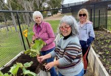Seed to deliver free wellbeing programs