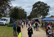 Sale’s big market weekend returns