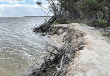 Council to write to state govt on Loch Sport erosion