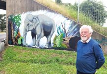 Keeping the elephant mystery alive