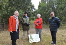 Sandhill Road Reserve protects rare landscape near Stratford