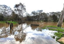 Wet October for Wellington