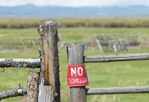 Still no on-the-spot fines for farm trespass