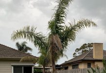 Demand for properties remains high in Wellington area