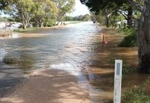 Flooding, gusty winds again