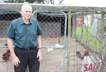 Fowl play in Rosedale