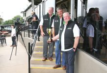 Kick off for Gippsland greyhound festival