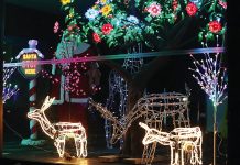 Jollying up Johnson St for a good cause