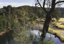 Three children rescued at Glenmaggie