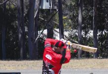 Stars of the lower grades