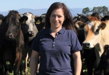 Dairy’s Knight in shining armour