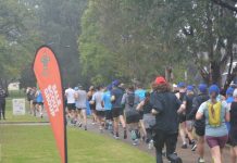 Race the Rubeena runs again!