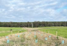 Creating new habitat on farmland