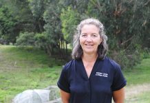 Joanne’s Craft has a ton of Heart