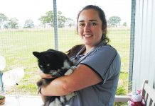 Have you thought about adopting a cat?