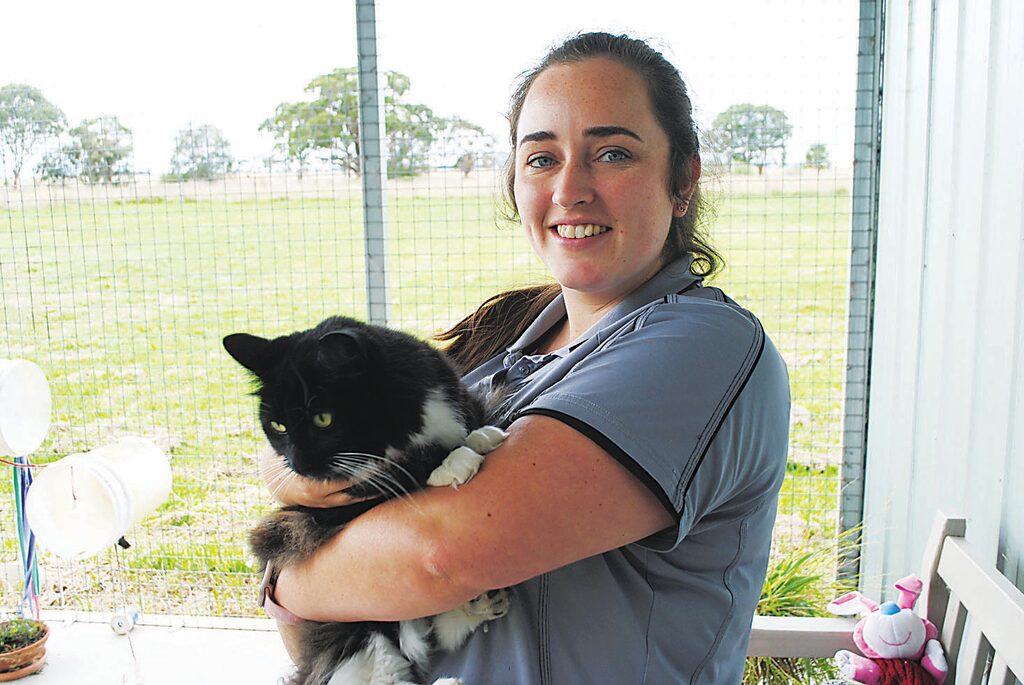 Animal aid sales sale cats