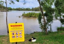 Blue green algae bloom