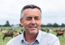 Funding for local groups in Wellington