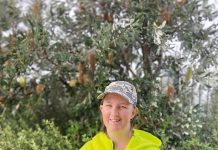 Casey Tomamichael lights the way to a brighter future