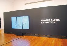 Gallery comes to life this winter