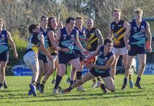 Swans now outright second