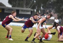 Magpies have weight of history on their side