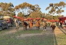 Briag’s best on show