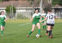 Clean Sweep for Sale United