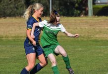 Mixed bag for Sale United