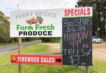 Fruit & veg costs continue to bite