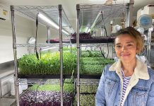 Driving growth in microgreens from garage in Briagolong
