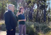 Bath calls for action as varroa mite threat rises