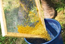 Planning to see pollination season given the green light