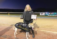 Gippsland Greyhounds celebrate NAIDOC Week