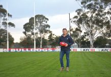 Dogs Stalwart Reflects