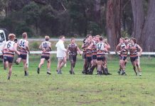 Wildcat’s miracle win keeps campaign alive