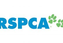 RSPCA Victoria supports pet owners in tight spots