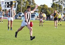 Magpies out to cause a major power outage