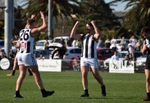 Magpies down but not out