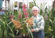 Sale and District Orchid Club Show